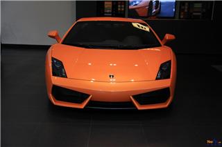 Gallardo